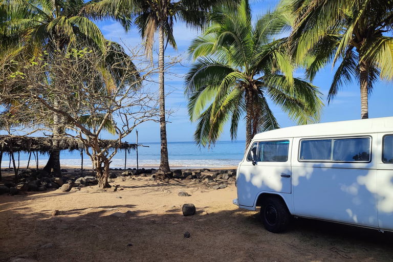 VW Bulli'nin 75 yılı - bir efsane doğum gününü kutluyor